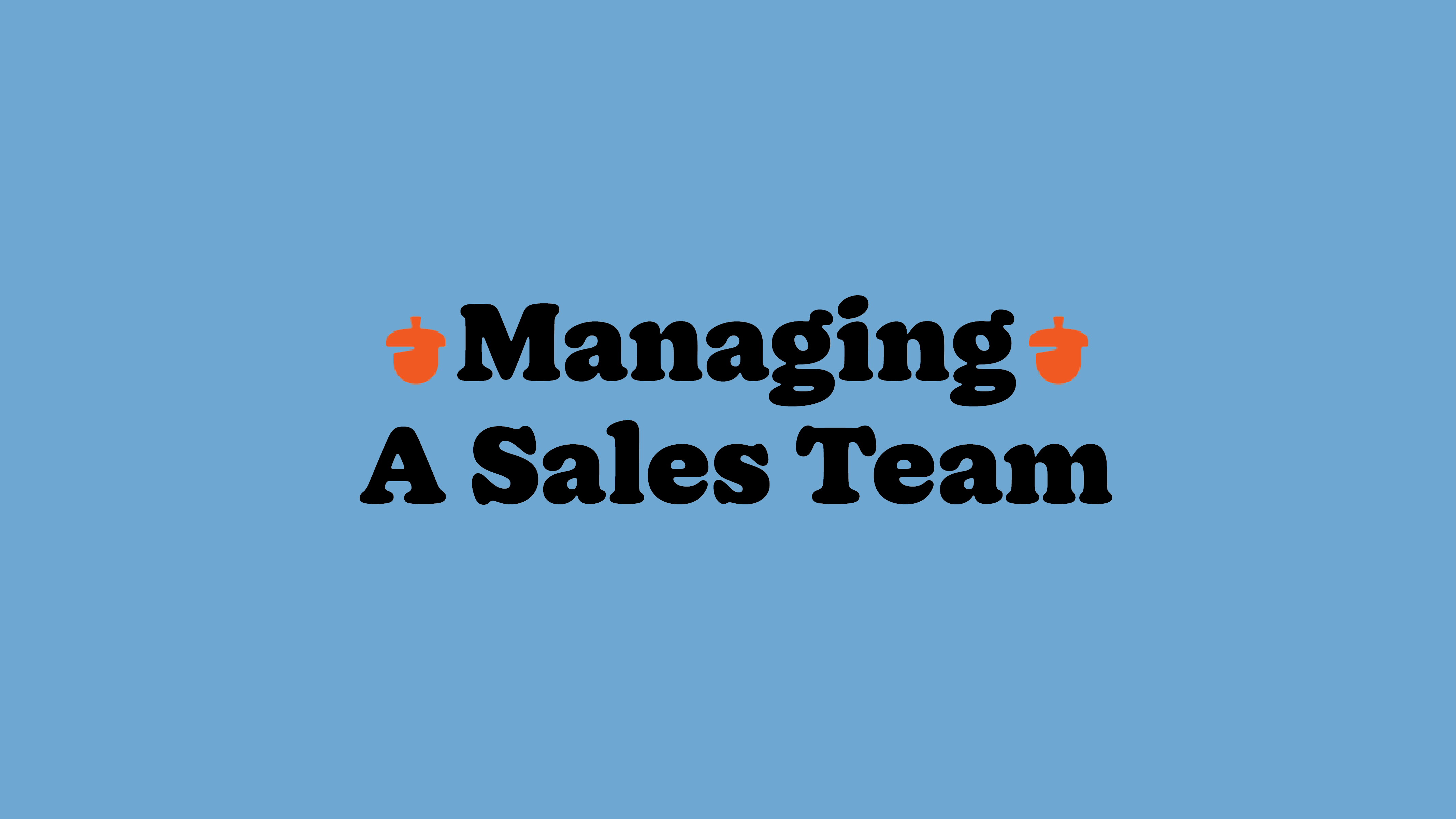 managing a sales team